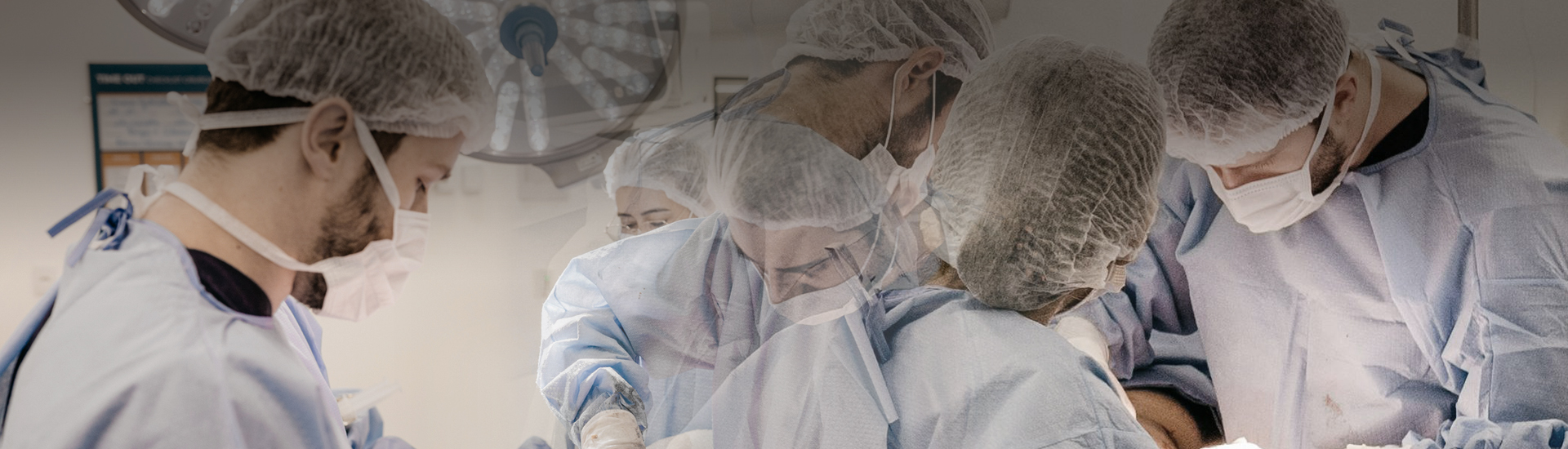 業(yè)務(wù)板塊